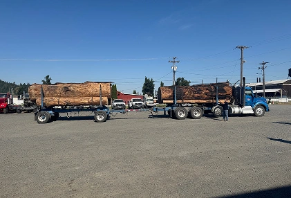 Family-Owned Strength